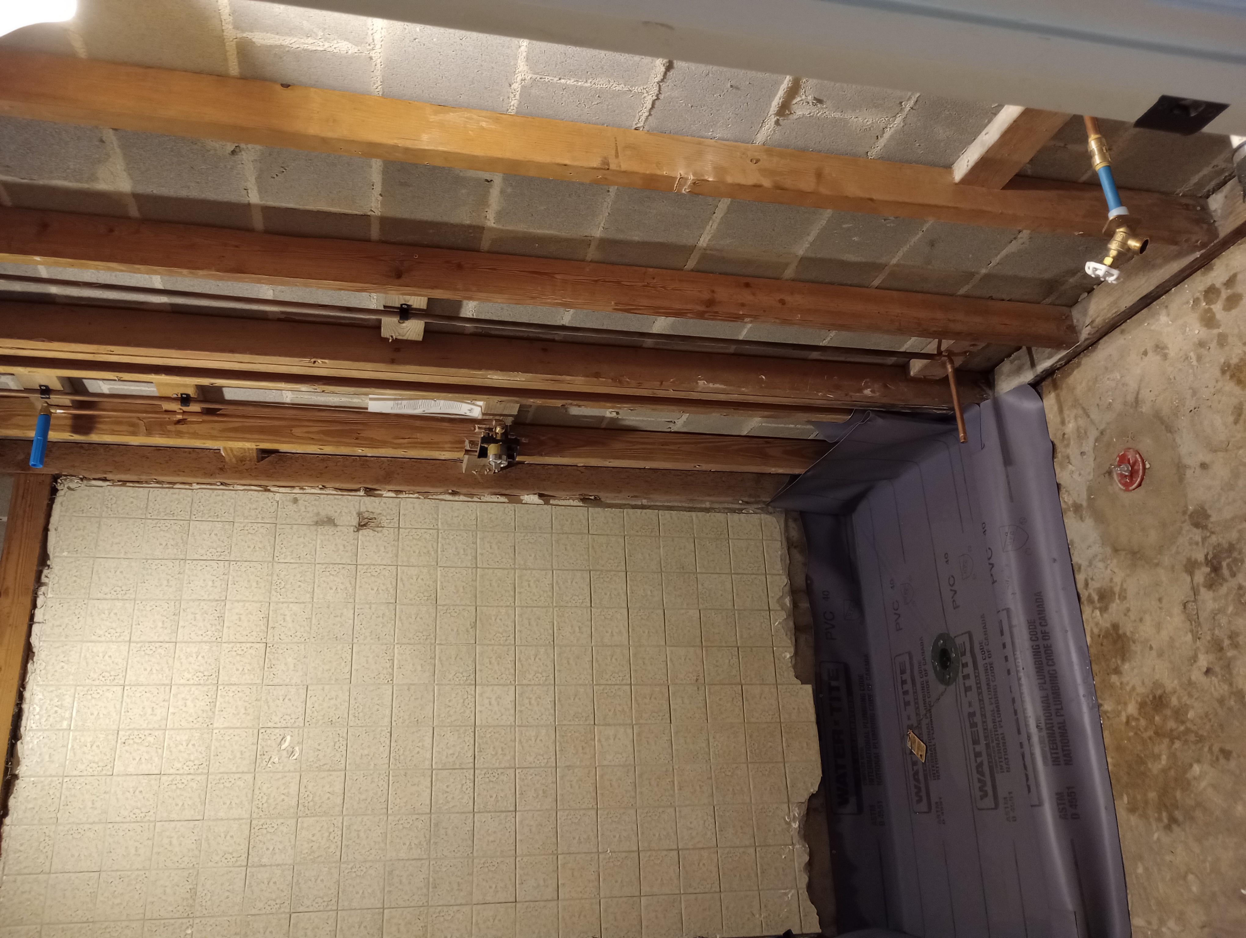 Basement Bathroom Remodel in Meadowbrook Alabama 1